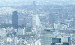 不動産売買・仲介